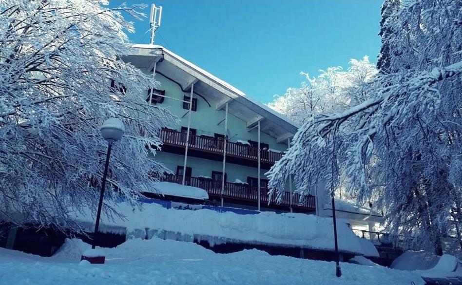 Great Mountain B&B Platak Ngoại thất bức ảnh